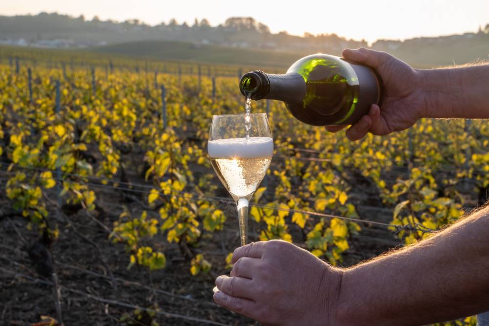 Clairette de Die brut près de Loriol-sur-Drôme