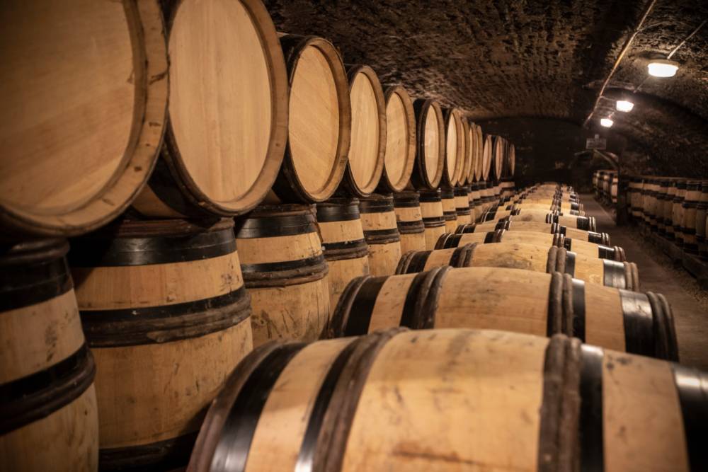 Clairette de Die tradition près de Loriol-sur-Drôme