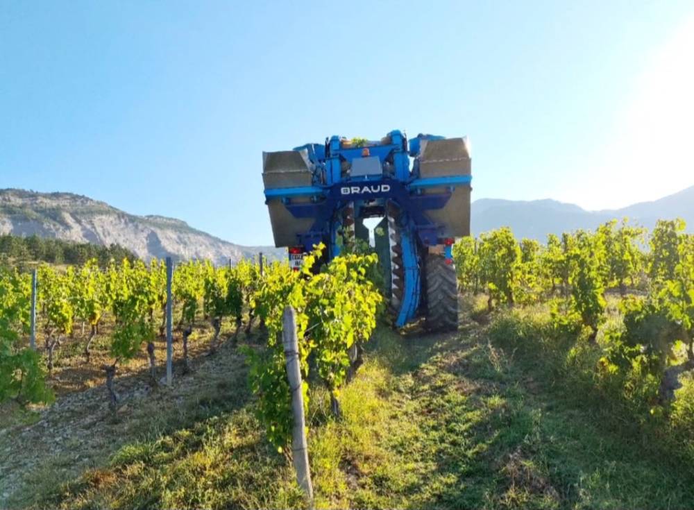 camion de récolte vigne